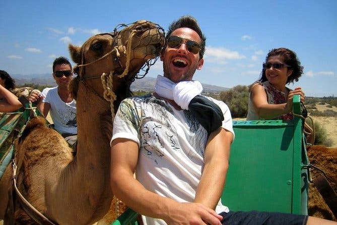 Paseos en Camello por las Dunas de Maspalomas