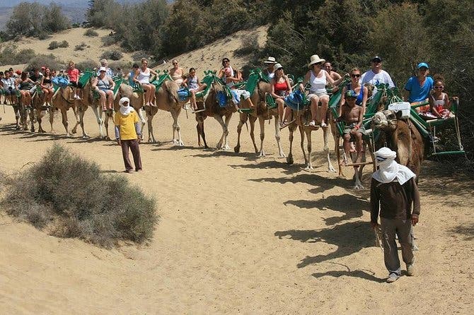 Paseos en Camello por las Dunas de Maspalomas