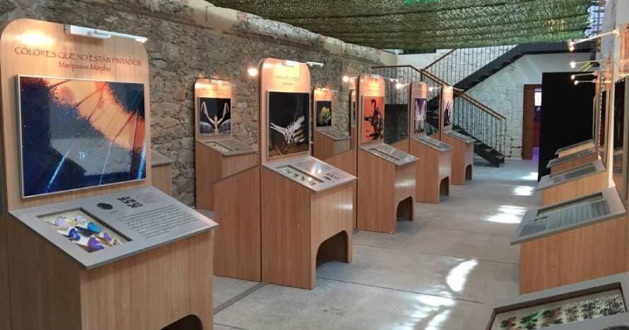 InsectPark: Explora el fascinante mundo de los insectos y arácnidos