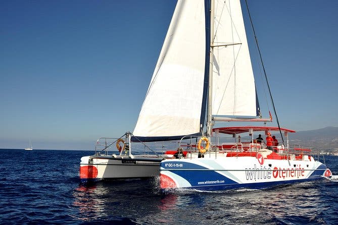 5 horas Avistamiento y escucha de ballenas y delfines visitando Los Gigantes