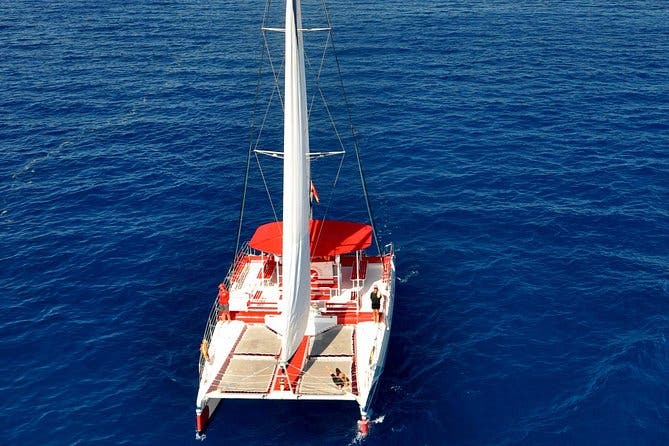 5 horas Avistamiento y escucha de ballenas y delfines visitando Los Gigantes
