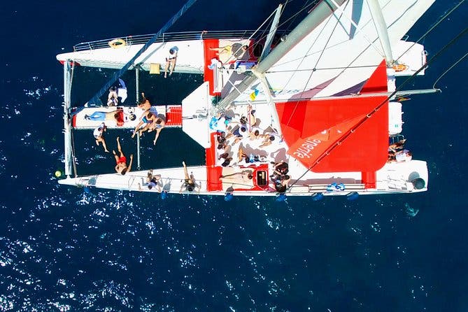 5 horas Avistamiento y escucha de ballenas y delfines visitando Los Gigantes