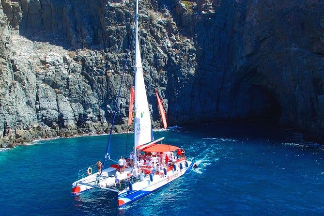 5 horas Avistamiento y escucha de ballenas y delfines visitando Los Gigantes