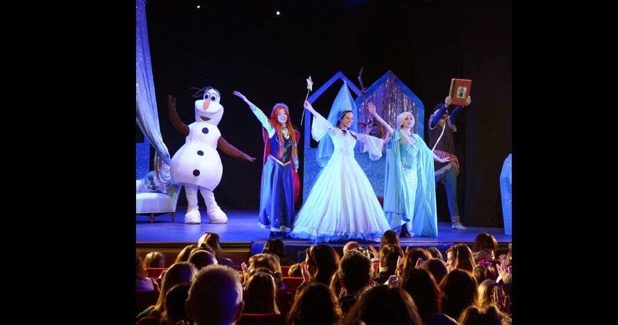 Los sueños de Elsa, Tributo a Frozen