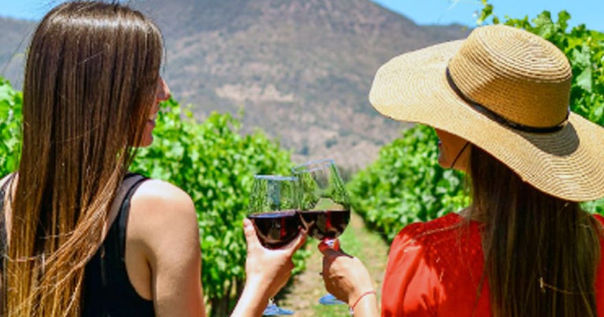 Tour en carrito de golf y degustación de 6 vinos, Viña Ravanal