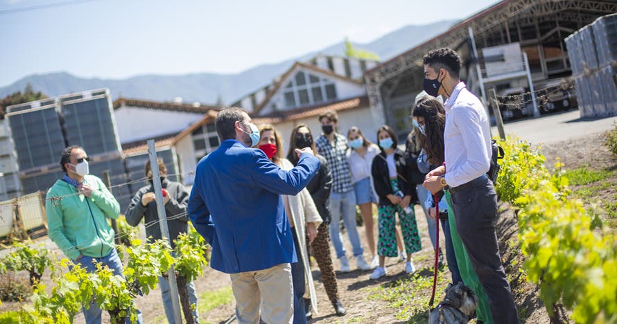 Tour en carrito de golf y degustación de 6 vinos, Viña Ravanal