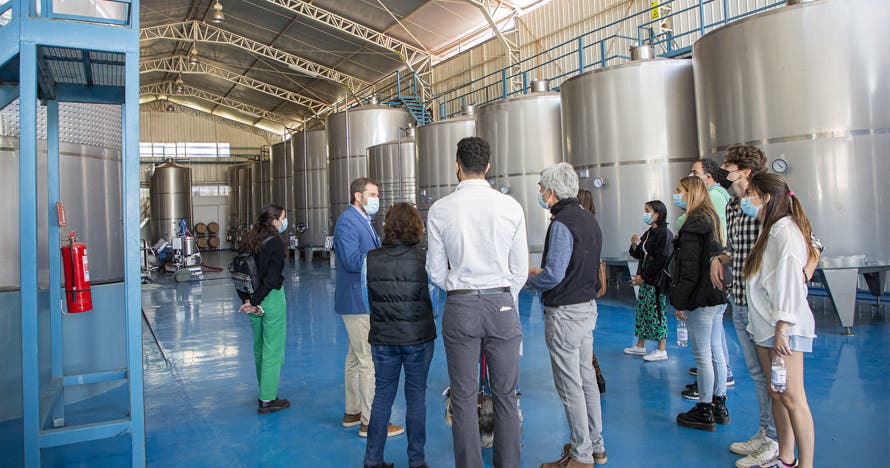 Tour en carrito de golf y degustación de 6 vinos, Viña Ravanal