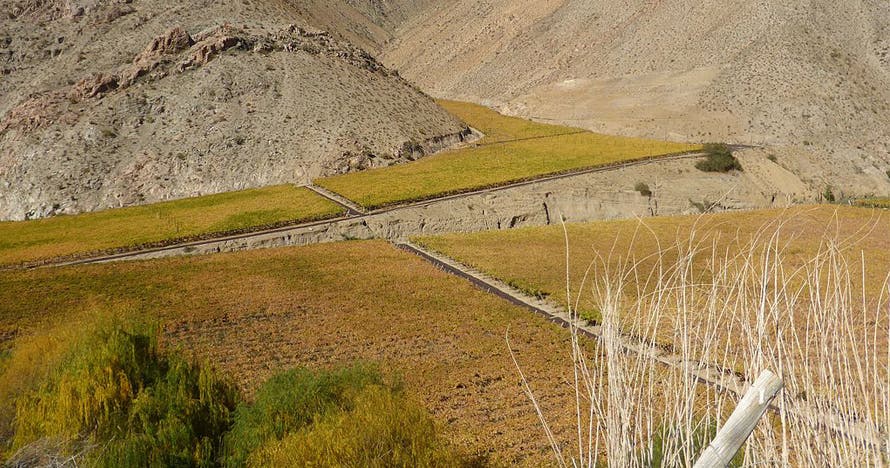 Tour Valle de Elqui Clásico: Tickets y Almuerzo
