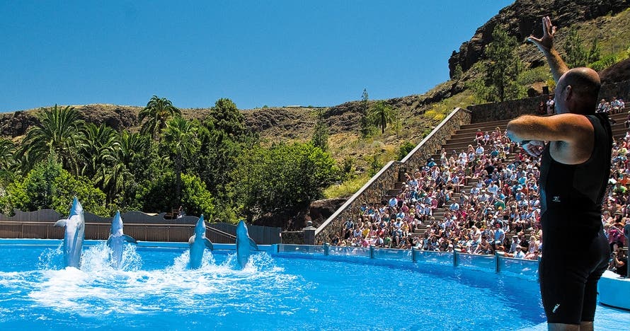 Palmitos Park