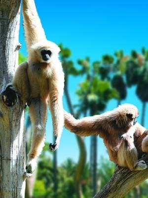 Fundacin Mapfre Barcelona - KBr_2