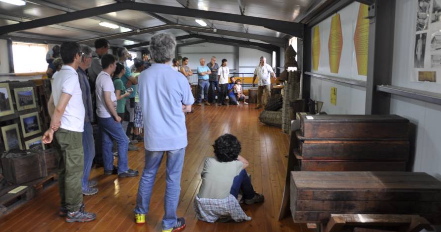 Visita guiada al Museu de la Mel, descubre sus secretos