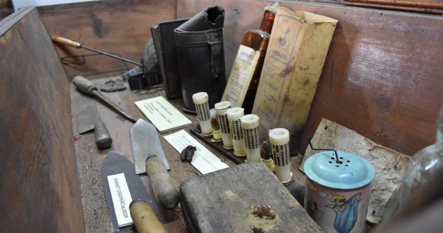 Visita guiada al Museu de la Mel, descubre sus secretos