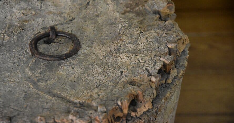 Visita guiada al Museu de la Mel, descubre sus secretos