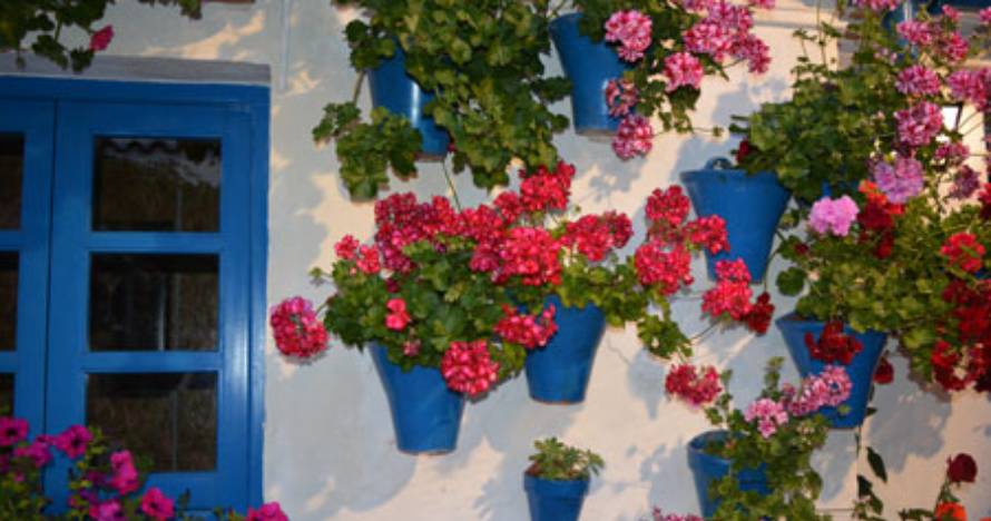 Patios y Perfumes cordobeses