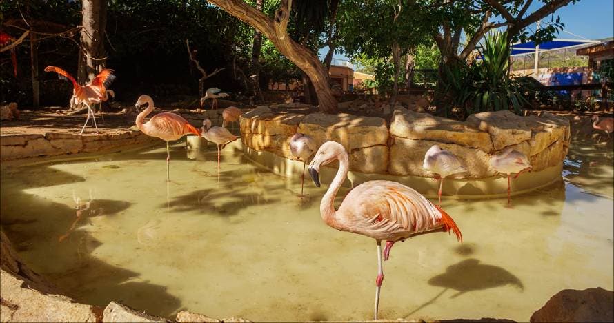 Marineland Mallorca