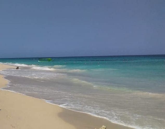 Cartagena a Isla del Rosario, Isla Cholón, Playa Tranquila y Plancton