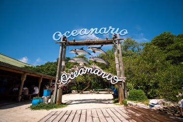 Cartagena a Isla del Rosario, Isla Choln, Playa Tranquila y Plancton