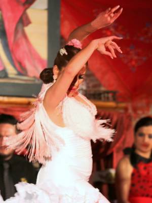 Espectculo Tablao Flamenco
