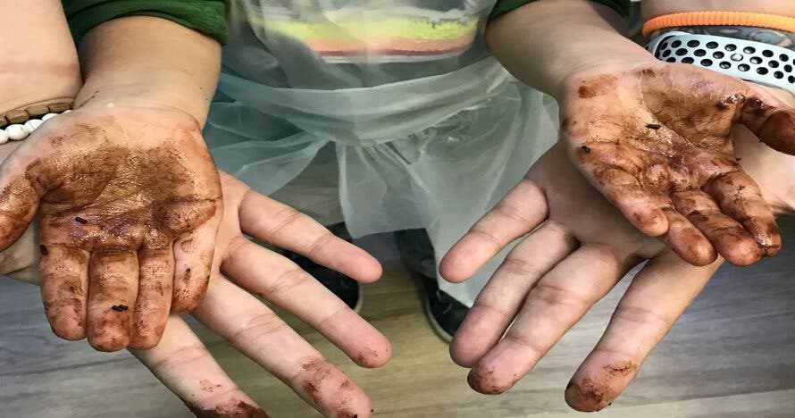 CHOCOMASTER KIDS MADRID: taller y cata de chocolate para niños ypadres