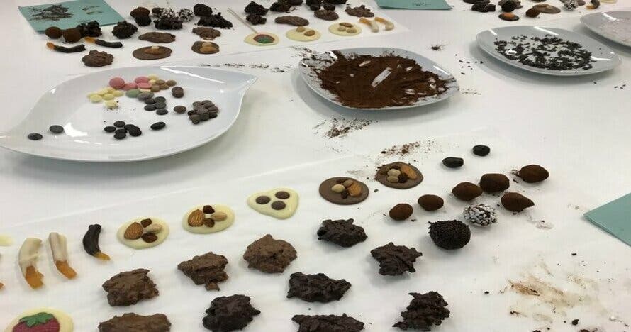 Chocomaster Madrid: taller y cata gourmet de chocolates profesionales