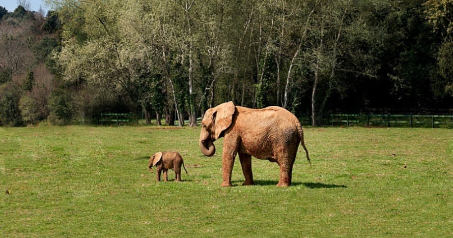 Entrada al Parque de la Naturaleza de Cabárceno