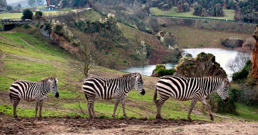 Entrada al Parque de la Naturaleza de Cabárceno