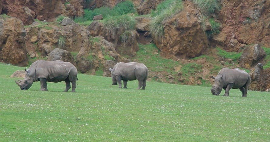 Entrada al Parque de la Naturaleza de Cabárceno