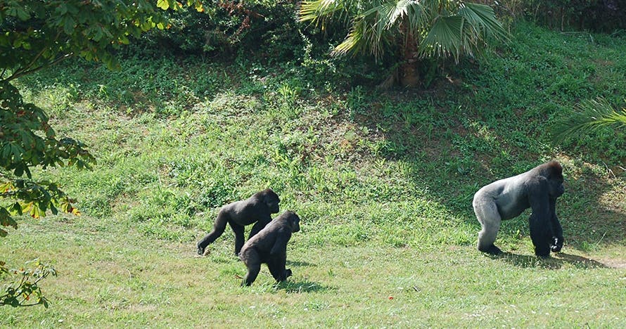 Entrada al Parque de la Naturaleza de Cabárceno