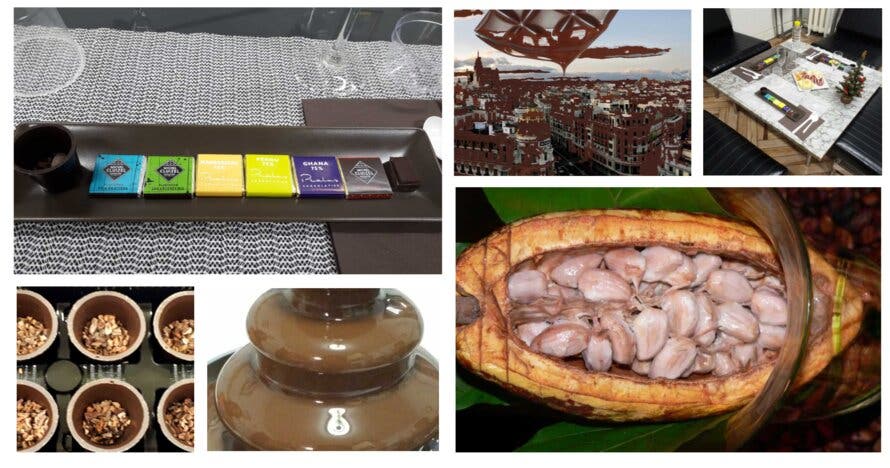 Cata de chocolates y tarde de campo en finca