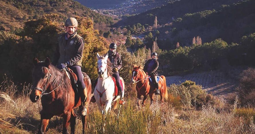 Visita a la bodega, ruta a caballo y cata de 3 vinos con pinchos