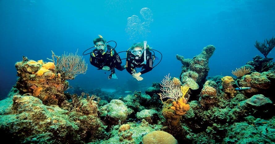 Descubre el mar con un bautismo de buceo en Tossa de Mar