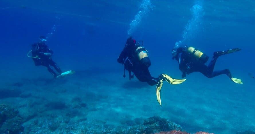 Descubre el mar con un bautismo de buceo en Tossa de Mar