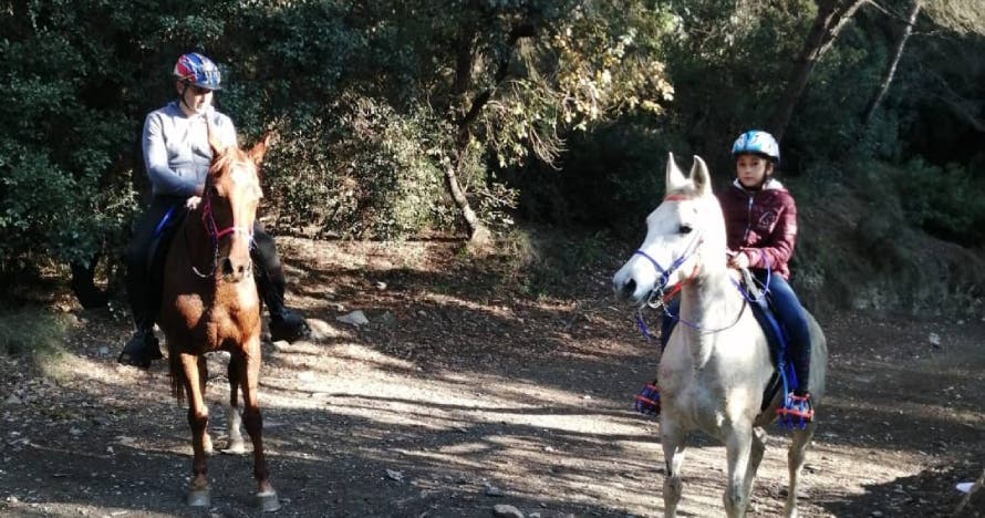 Excursión a caballo por Collserola: naturaleza, paisajes y diversión