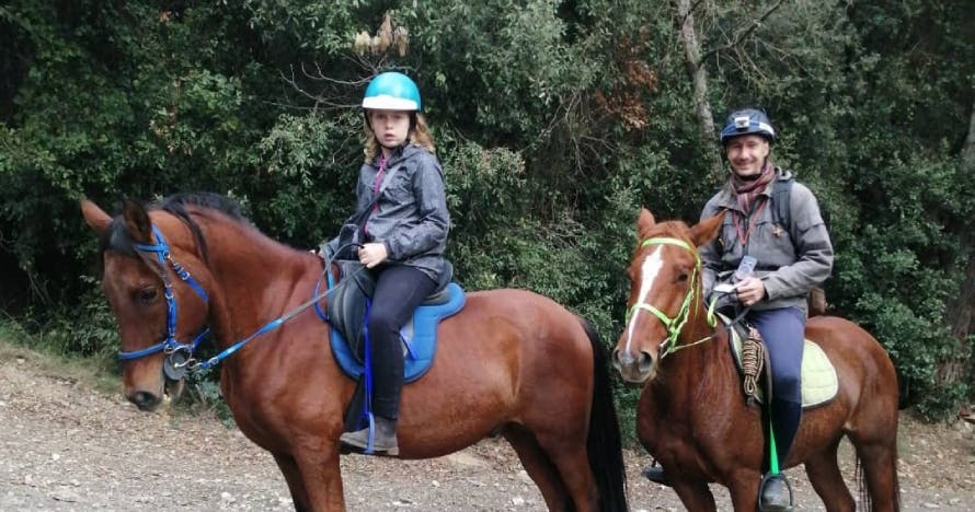 Excursión a caballo por Collserola: naturaleza, paisajes y diversión