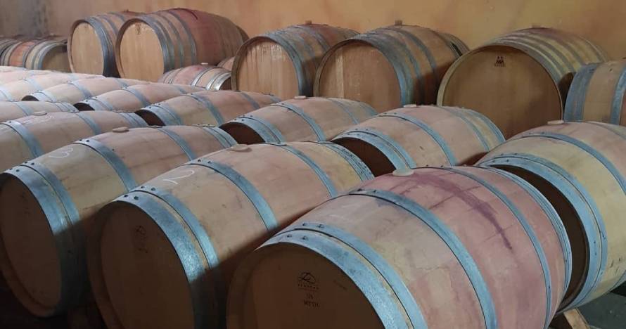 Experiencia enológica: historia, tradición y cata de vinos