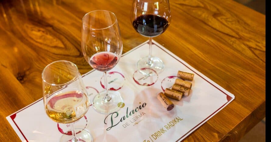 Experiencia enológica: historia, tradición y cata de vinos