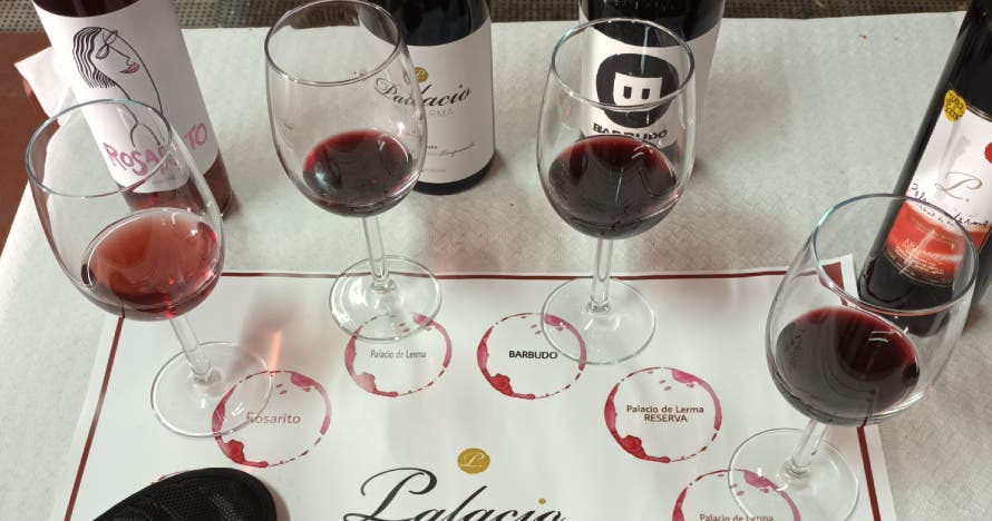 Cata a ciegas: Descubre los secretos del vino