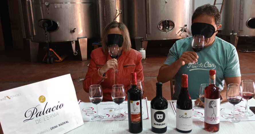 Cata a ciegas: Descubre los secretos del vino
