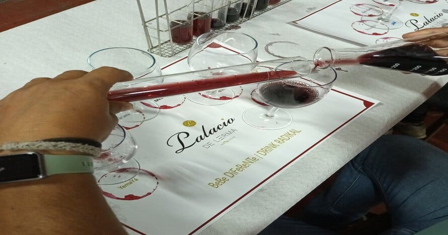 Crea tu vino único con un experto enólogo