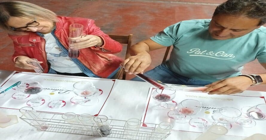 Crea tu vino único con un experto enólogo