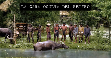 Tour por la cara oculta del parque del Retiro