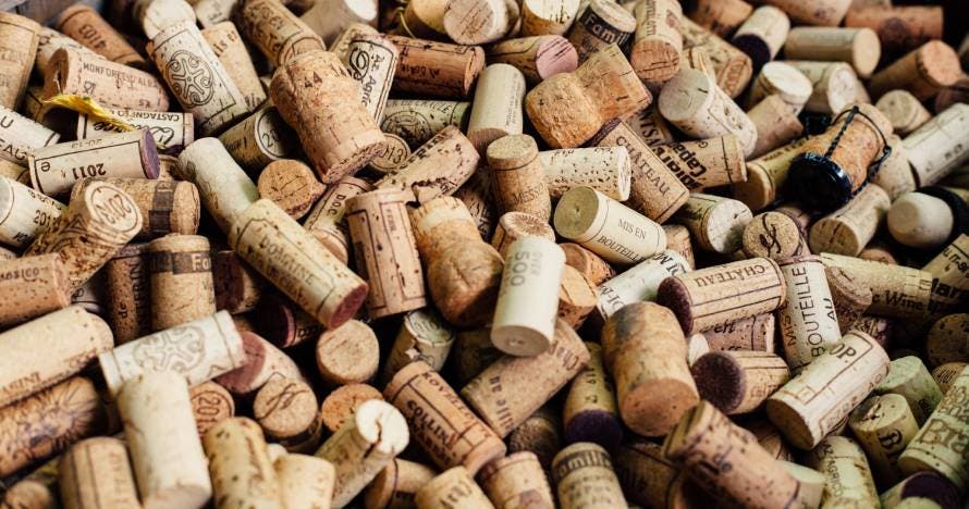 Bodegas Riojanas: tradición y vino en una experiencia única
