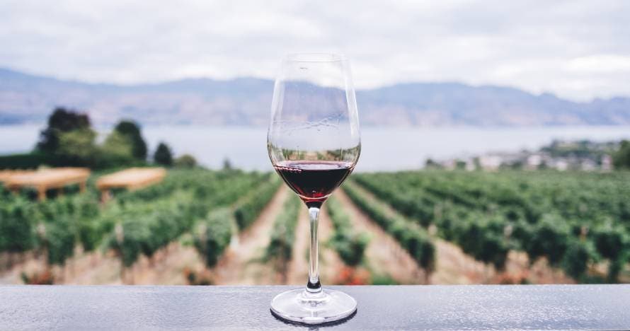 Bodegas Riojanas: tradición y vino en una experiencia única