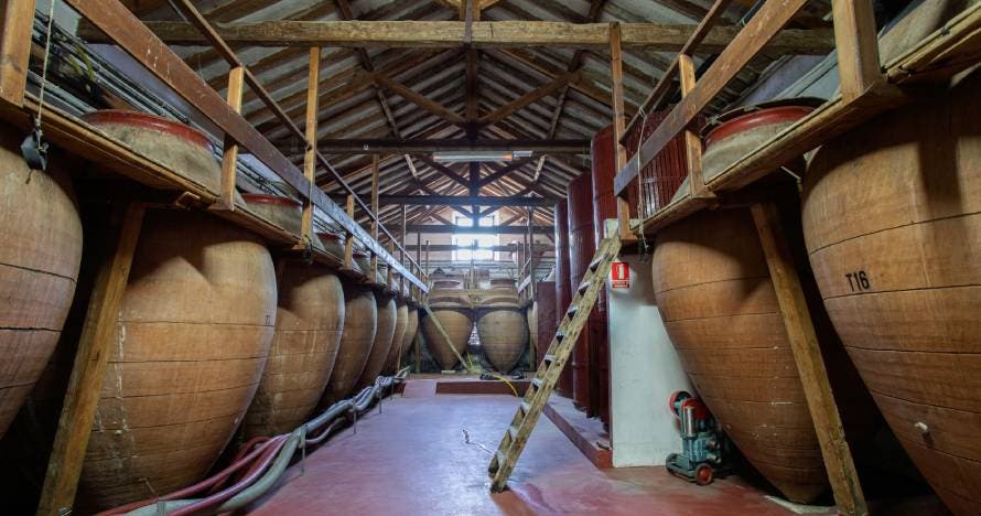 Visita la Bodega Jesús Díaz y degusta 3 de sus vinos