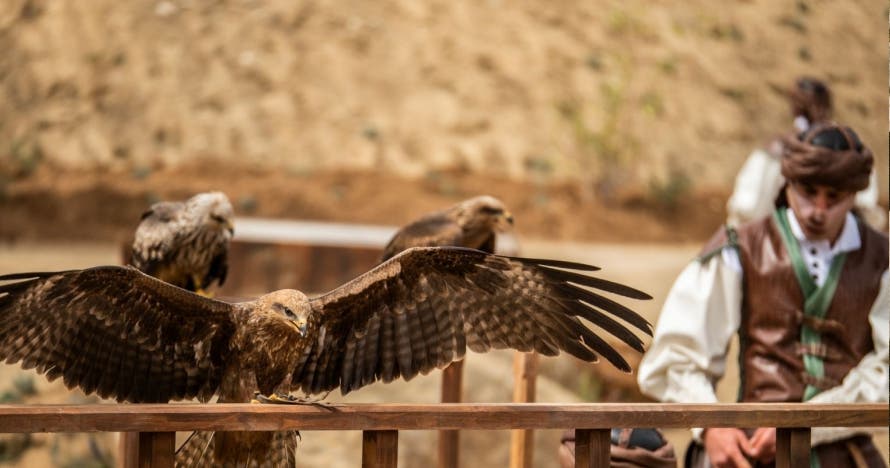 Puy du Fou España: la historia te espera