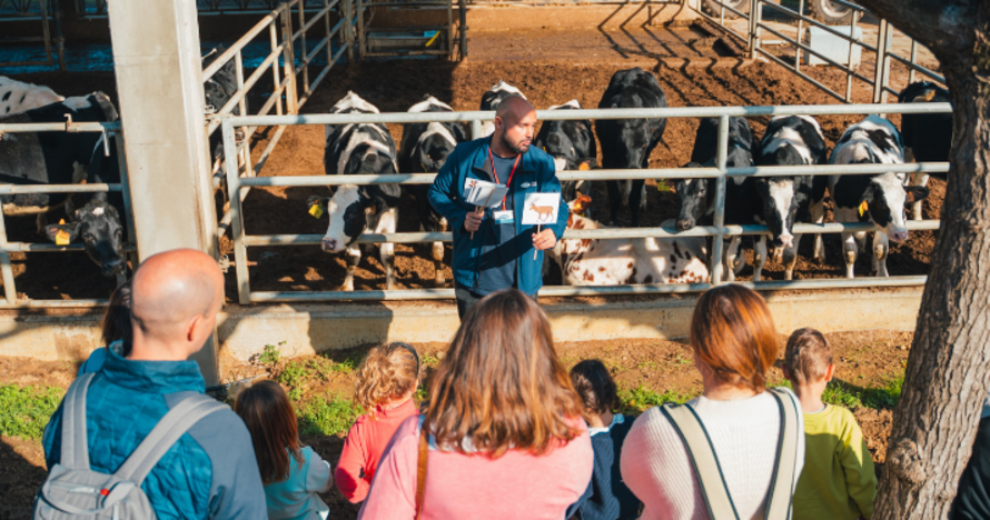 Visita una granja de vacas con la Experiència #Aprop de Llet Nostra