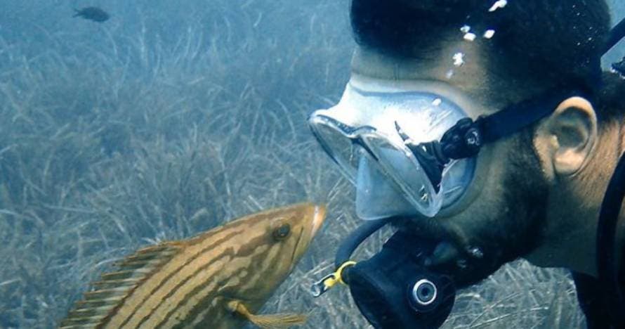 Bautizo de Buceo