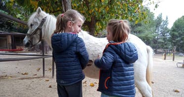 Visita a la granja...y mucha diversin ms!_1