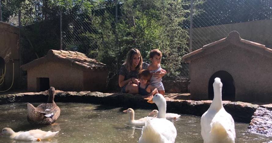 Visita la granja y diviértete en familia entre naturaleza y animales