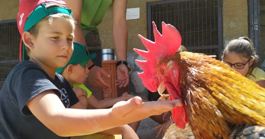 Visita la granja y diviértete en familia entre naturaleza y animales